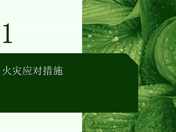 灾害应对措施